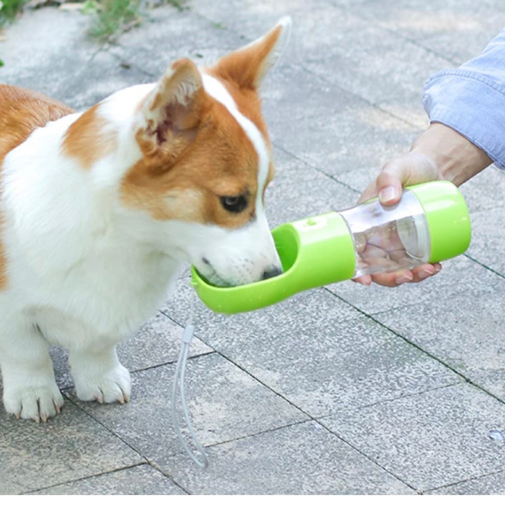 Pet water cup